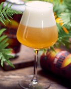 啤酒的國家執(zhí)行標(biāo)準(zhǔn)(目前有哪些與啤酒相關(guān)的國家標(biāo)準(zhǔn))