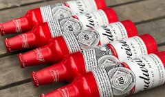 金尊百威啤酒多少度